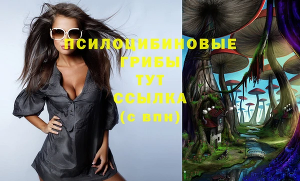 альфа пвп Нея