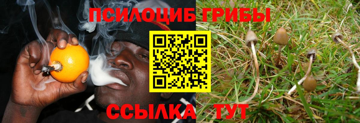 Кодеин Дербент